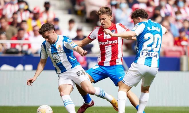 结构的精细 结构的精细