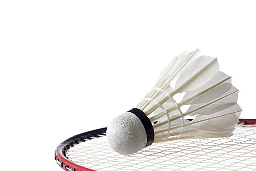 以保护你的 以保护你的